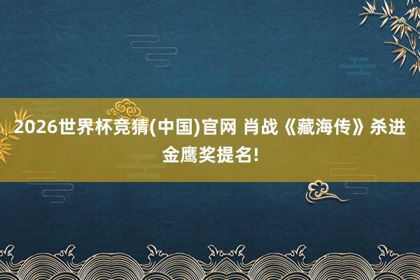 2026世界杯竞猜(中国)官网 肖战《藏海传》杀进金鹰奖提名!