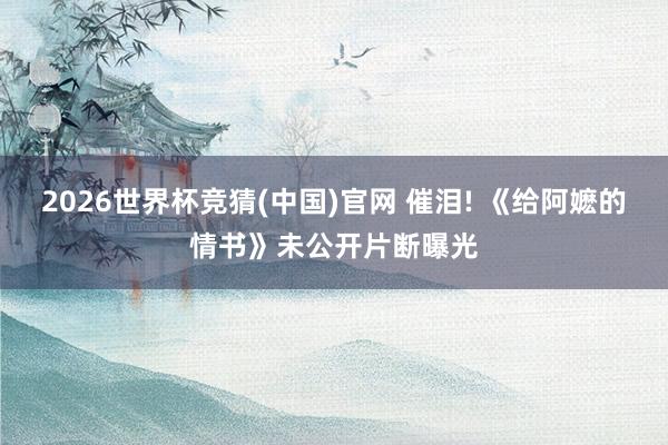 2026世界杯竞猜(中国)官网 催泪! 《给阿嬷的情书》未公开片断曝光