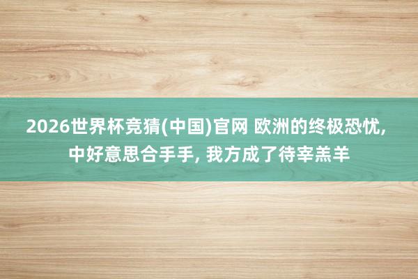 2026世界杯竞猜(中国)官网 欧洲的终极恐忧, 中好意思合手手, 我方成了待宰羔羊