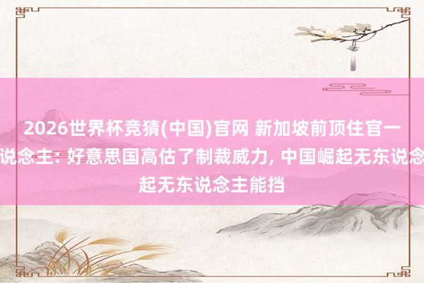 2026世界杯竞猜(中国)官网 新加坡前顶住官一语惊东说念主: 好意思国高估了制裁威力， 中国崛起无东说念主能挡