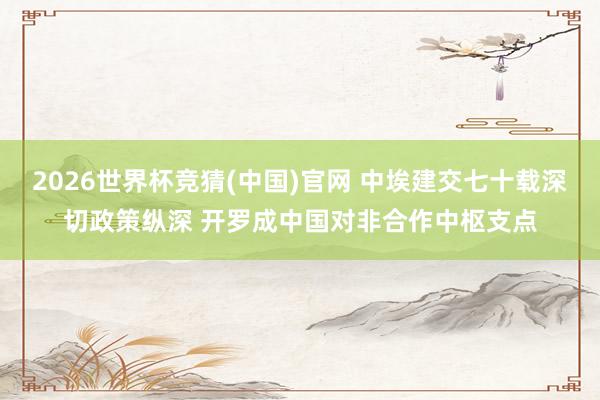 2026世界杯竞猜(中国)官网 中埃建交七十载深切政策纵深 开罗成中国对非合作中枢支点