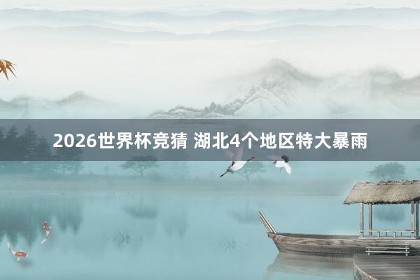 2026世界杯竞猜 湖北4个地区特大暴雨