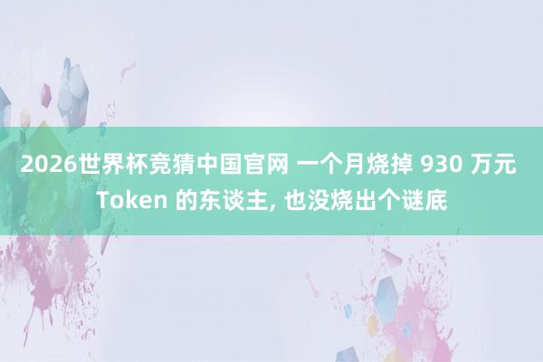 2026世界杯竞猜中国官网 一个月烧掉 930 万元 Token 的东谈主, 也没烧出个谜底