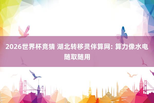 2026世界杯竞猜 湖北转移灵伴算网: 算力像水电随取随用