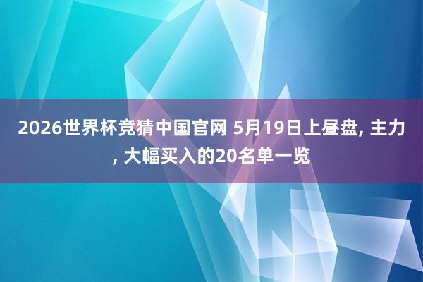2026世界杯竞猜中国官网 5月19日上昼盘, 主力, 大幅买入的20名单一览
