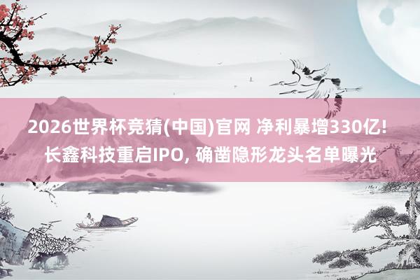 2026世界杯竞猜(中国)官网 净利暴增330亿! 长鑫科技重启IPO， 确凿隐形龙头名单曝光