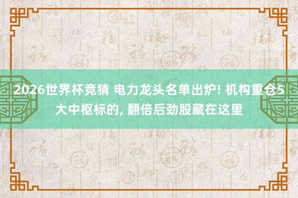2026世界杯竞猜 电力龙头名单出炉! 机构重仓5大中枢标的, 翻倍后劲股藏在这里