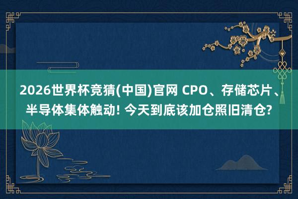 2026世界杯竞猜(中国)官网 CPO、存储芯片、半导体集体触动! 今天到底该加仓照旧清仓?