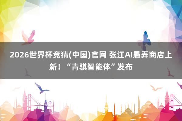 2026世界杯竞猜(中国)官网 张江AI愚弄商店上新!“青骐智能体”发布