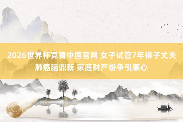2026世界杯竞猜中国官网 女子试管7年得子丈夫肺癌脑鼎新 家庭财产纷争引顺心
