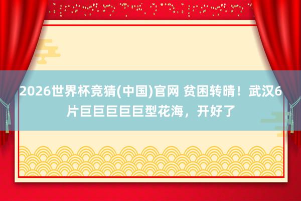 2026世界杯竞猜(中国)官网 贫困转晴!武汉6片巨巨巨巨巨型花海,开好了