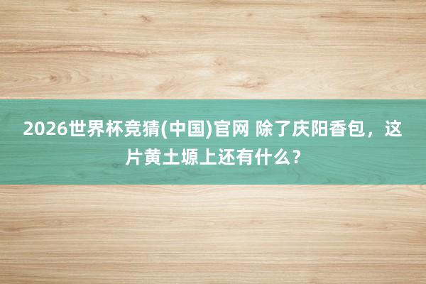2026世界杯竞猜(中国)官网 除了庆阳香包,这片黄土塬上还有什么?
