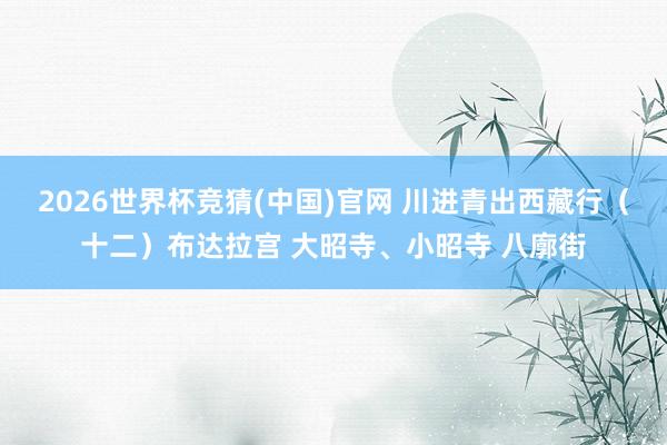 2026世界杯竞猜(中国)官网 川进青出西藏行(十二)布达拉宫 大昭寺、小昭寺 八廓街