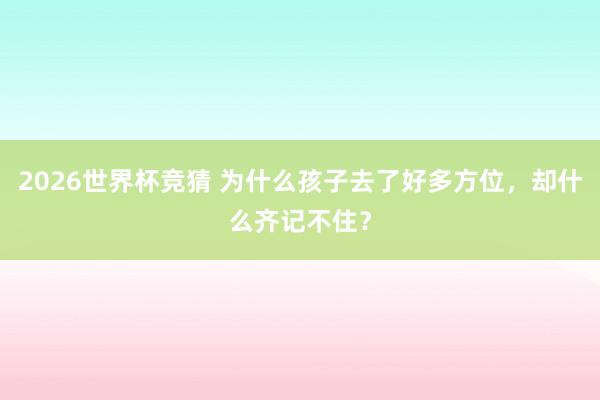 2026世界杯竞猜 为什么孩子去了好多方位,却什么齐记不住?