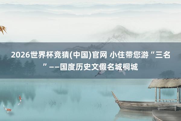 2026世界杯竞猜(中国)官网 小住带您游“三名”——国度历史文假名城桐城