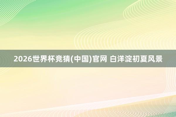 2026世界杯竞猜(中国)官网 白洋淀初夏风景