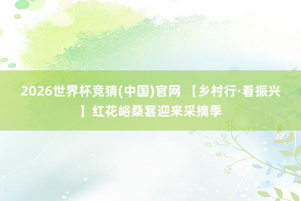 2026世界杯竞猜(中国)官网 【乡村行·看振兴】红花峪桑葚迎来采摘季