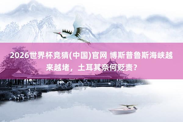 2026世界杯竞猜(中国)官网 博斯普鲁斯海峡越来越堵,土耳其奈何贬责?