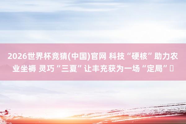 2026世界杯竞猜(中国)官网 科技“硬核”助力农业坐褥 灵巧“三夏”让丰充获为一场“定局”‌
