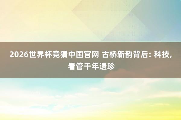 2026世界杯竞猜中国官网 古桥新韵背后: 科技, 看管千年遗珍