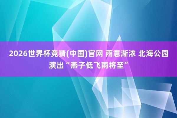 2026世界杯竞猜(中国)官网 雨意渐浓 北海公园演出“燕子低飞雨将至”