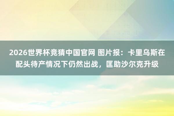 2026世界杯竞猜中国官网 图片报:卡里乌斯在配头待产情况下仍然出战,匡助沙尔克升级