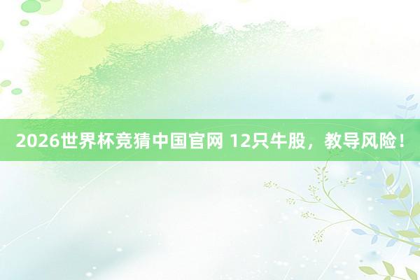 2026世界杯竞猜中国官网 12只牛股,教导风险!