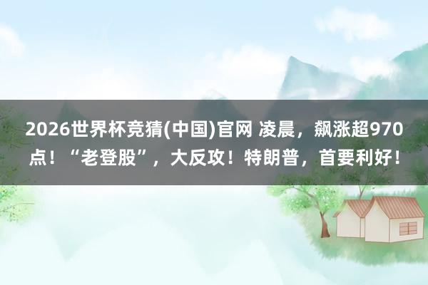 2026世界杯竞猜(中国)官网 凌晨,飙涨超970点!“老登股”,大反攻!特朗普,首要利好!