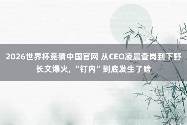 2026世界杯竞猜中国官网 从CEO凌晨查岗到下野长文爆火， “钉内”到底发生了啥