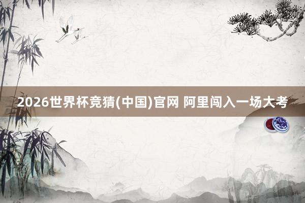 2026世界杯竞猜(中国)官网 阿里闯入一场大考