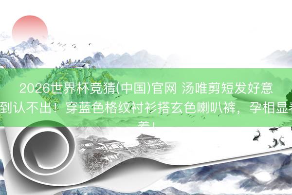 2026世界杯竞猜(中国)官网 汤唯剪短发好意思到认不出！穿蓝色格纹衬衫搭玄色喇叭裤，孕相显着！