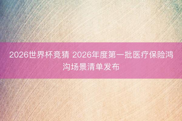 2026世界杯竞猜 2026年度第一批医疗保险鸿沟场景清单发布