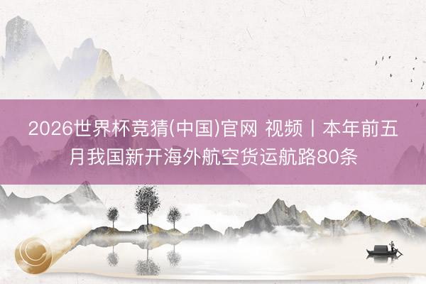 2026世界杯竞猜(中国)官网 视频丨本年前五月我国新开海外航空货运航路80条