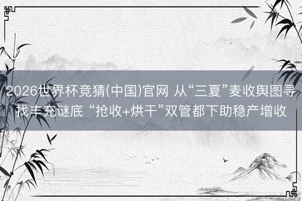 2026世界杯竞猜(中国)官网 从“三夏”麦收舆图寻找丰充谜底 “抢收+烘干”双管都下助稳产增收