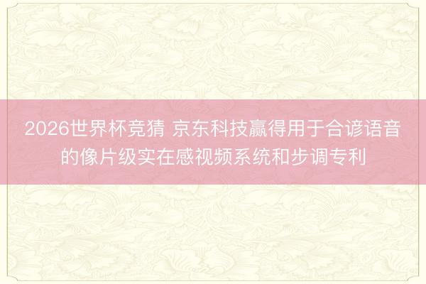 2026世界杯竞猜 京东科技赢得用于合谚语音的像片级实在感视频系统和步调专利