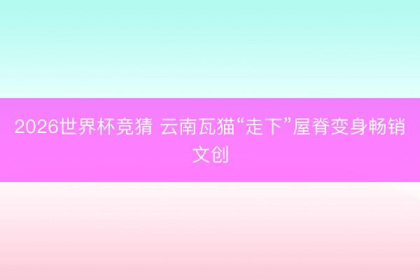 2026世界杯竞猜 云南瓦猫“走下”屋脊变身畅销文创