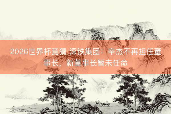 2026世界杯竞猜 深铁集团：辛杰不再担任董事长，新董事长暂未任命