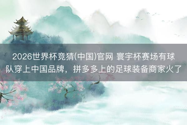 2026世界杯竞猜(中国)官网 寰宇杯赛场有球队穿上中国品牌,拼多多上的足球装备商家火了