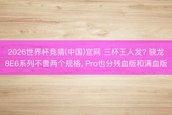 2026世界杯竞猜(中国)官网 三杯王人发? 骁龙8E6系列不啻两个规格, Pro也分残血版和满血版